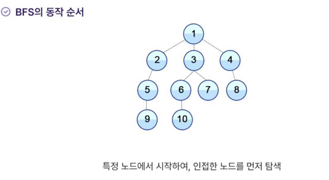 Full-width image