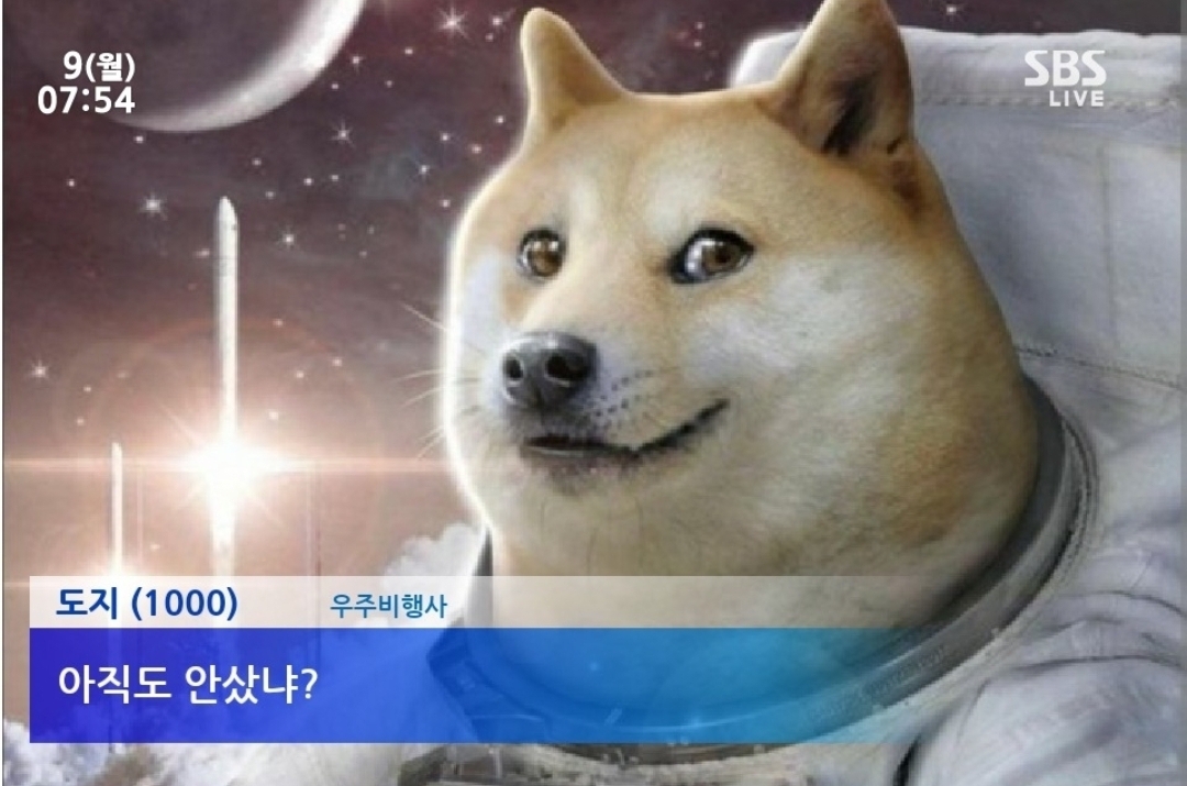 도지코인 관련 이미지